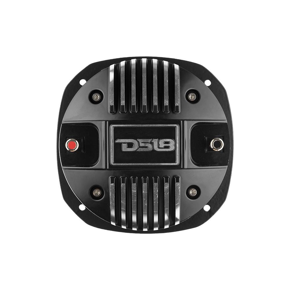 DS18 2