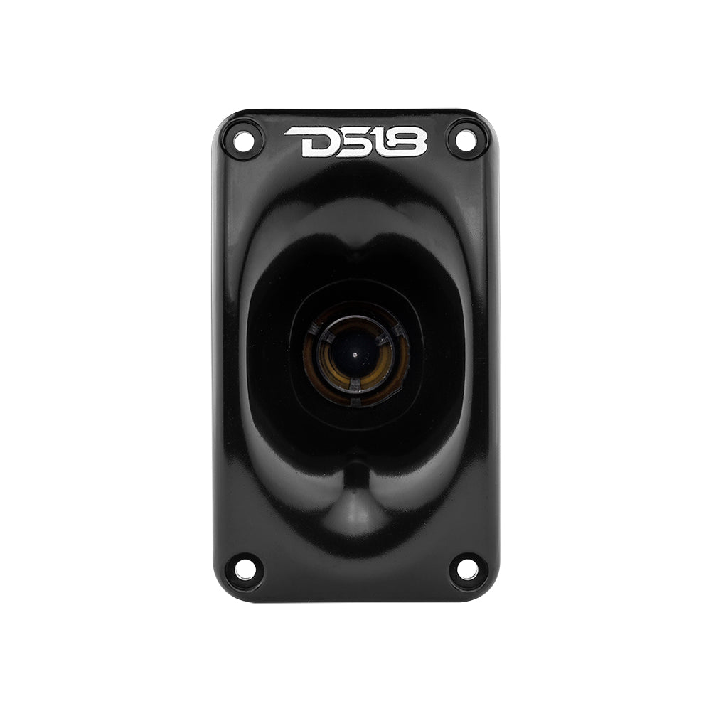 DS18 1