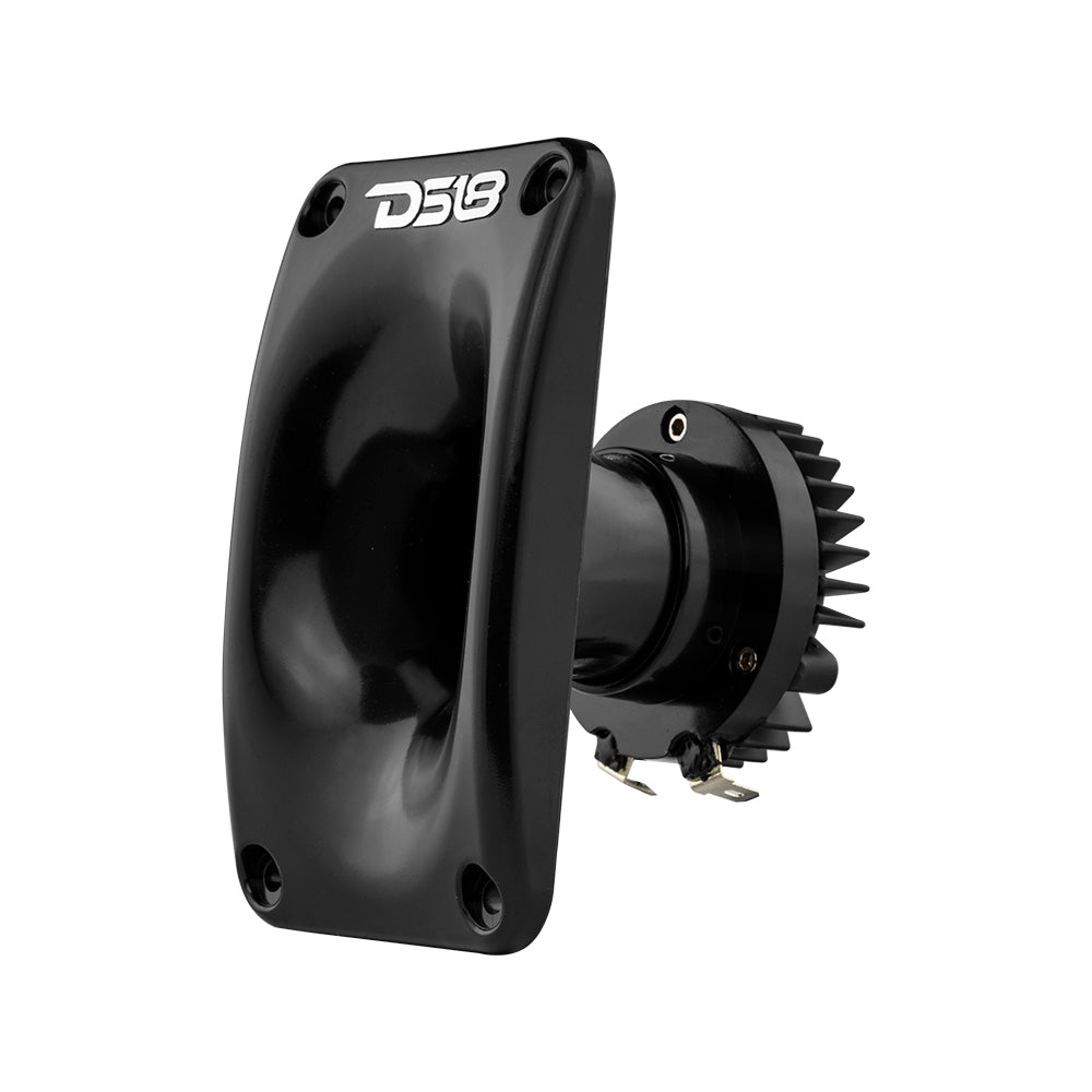 DS18 1