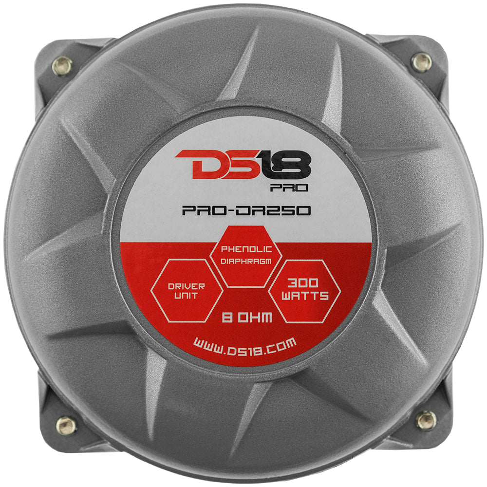 DS18 1