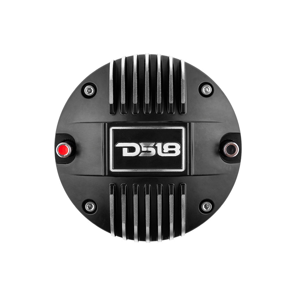 DS18 2