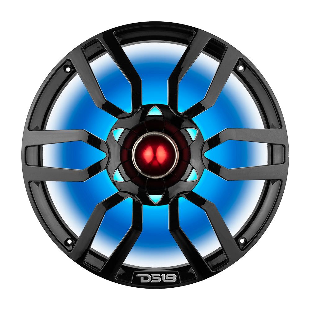 DS18 PRO-GTW10BK 10