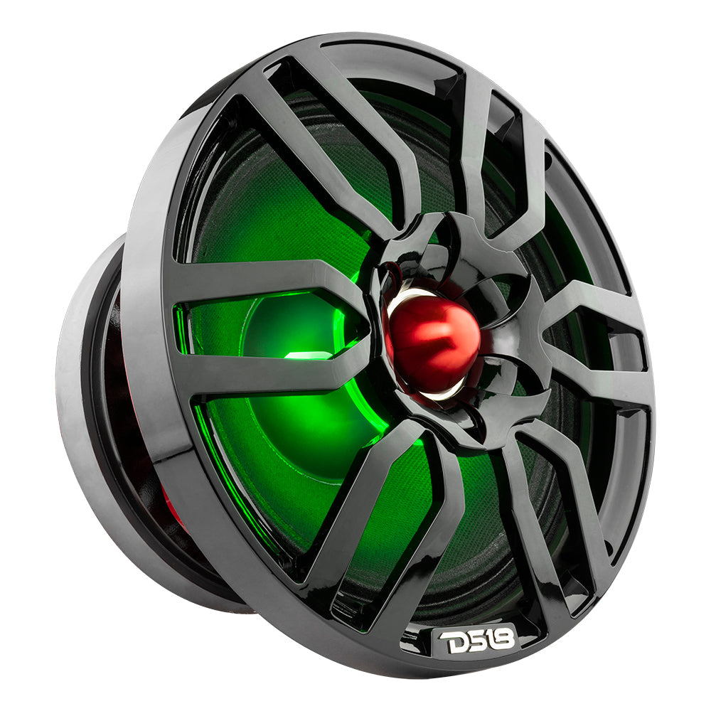 DS18 PRO-GTW10BK 10