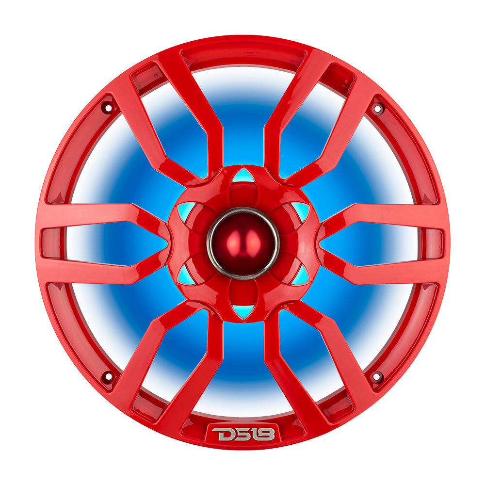 DS18 PRO-GTW10RD 10
