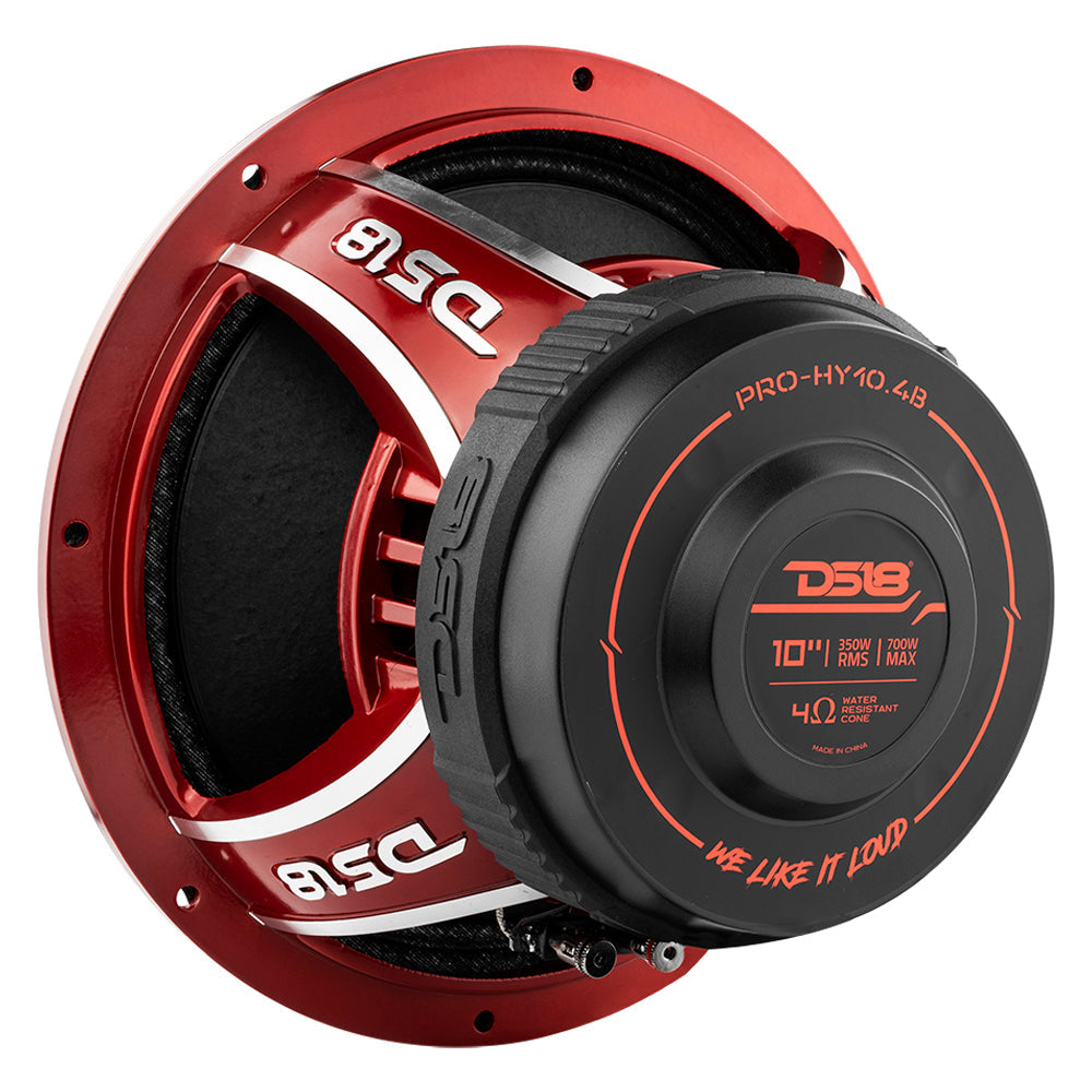 DS18 PRO 10