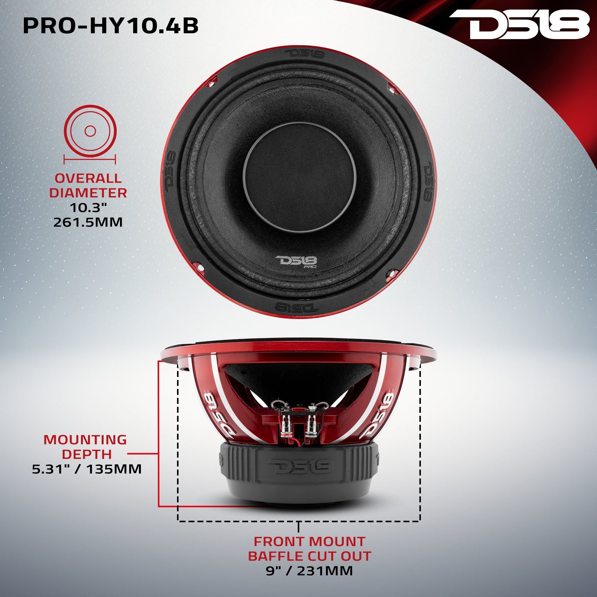DS18 PRO 10