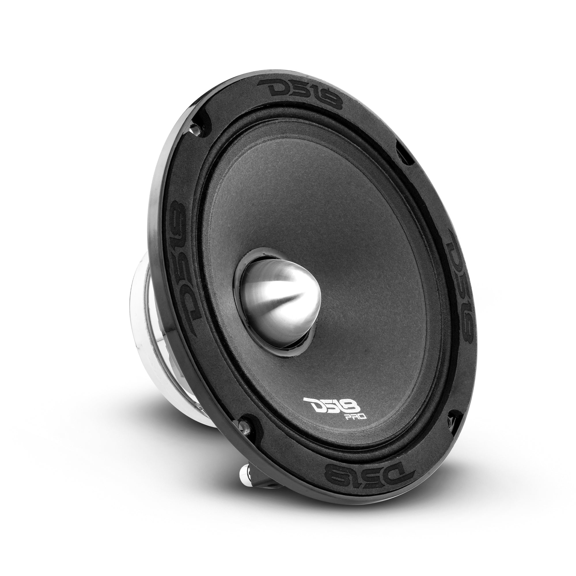 DS18 PRO 6.5