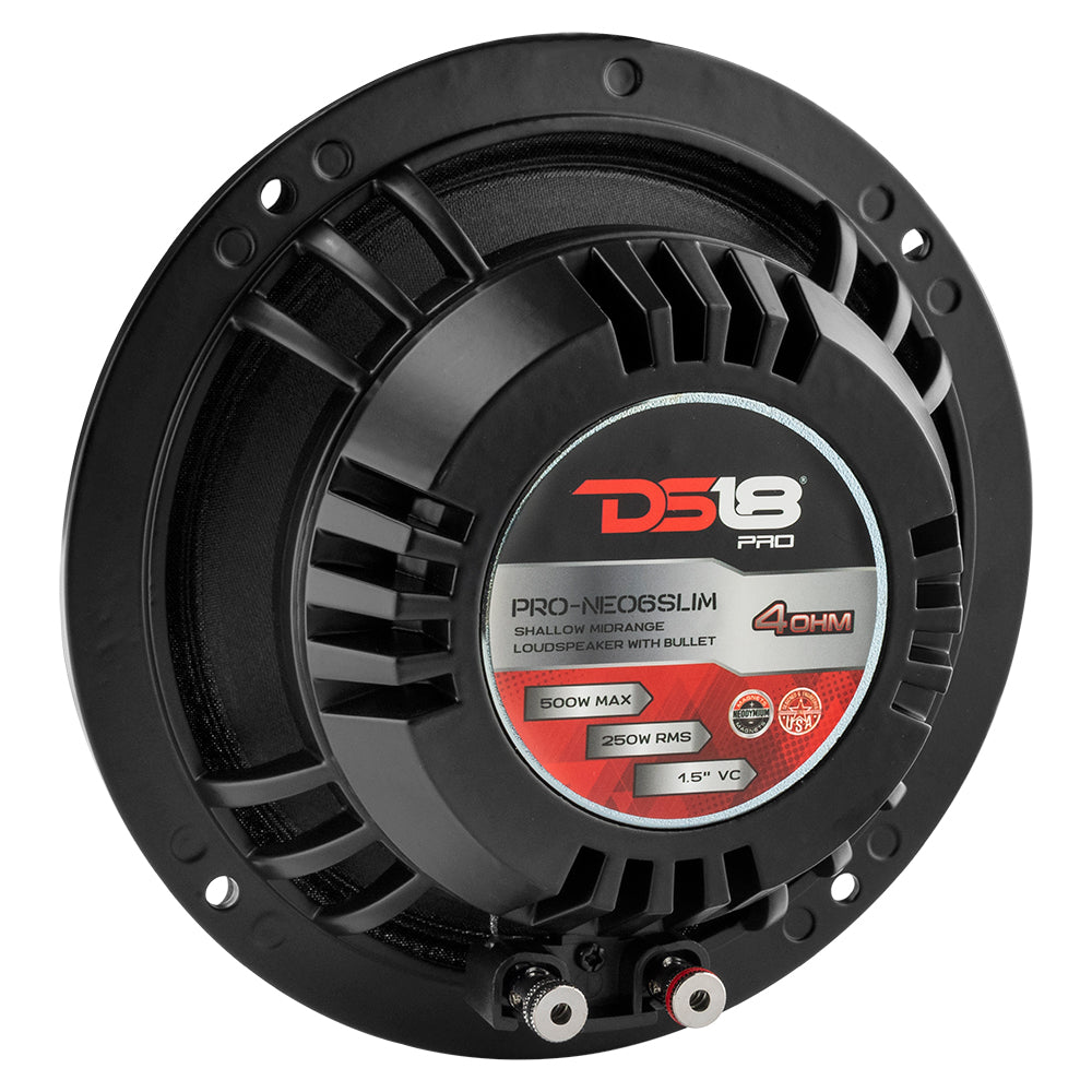 DS18 PRO 6.5