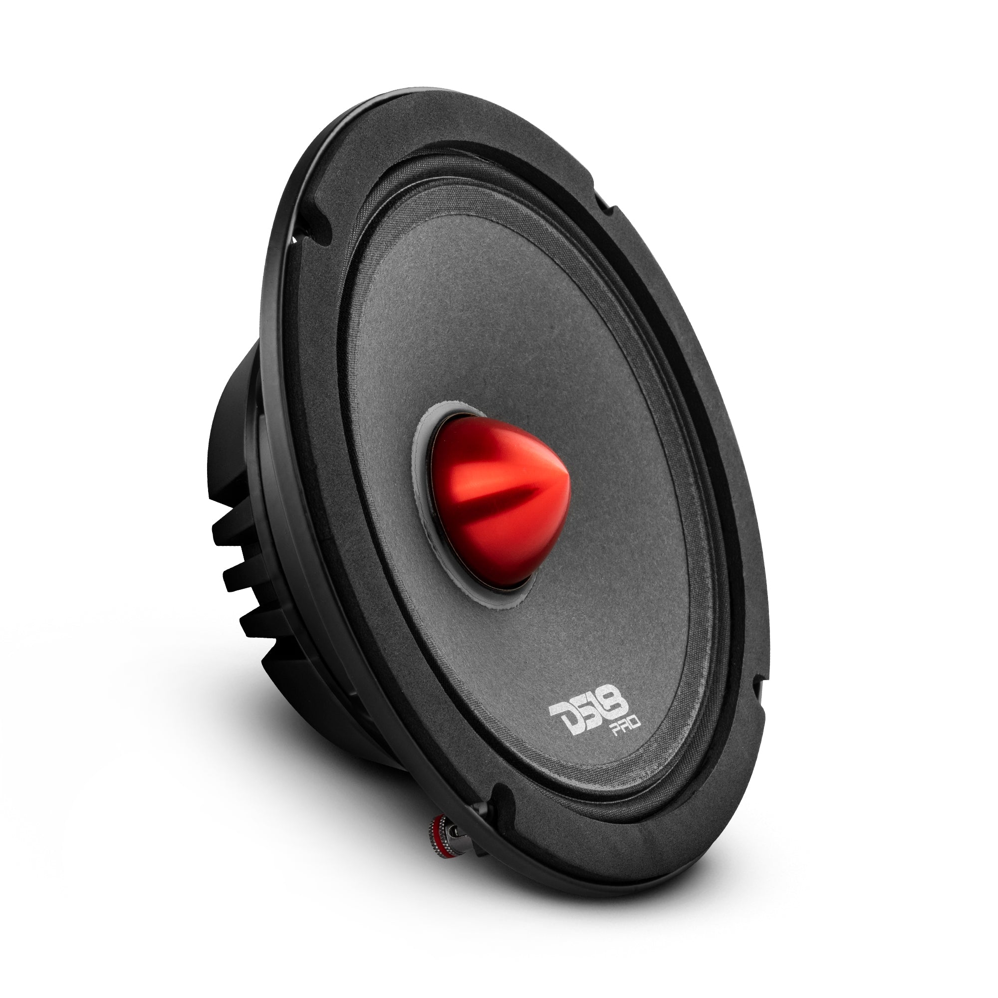DS18 PRO 6.5