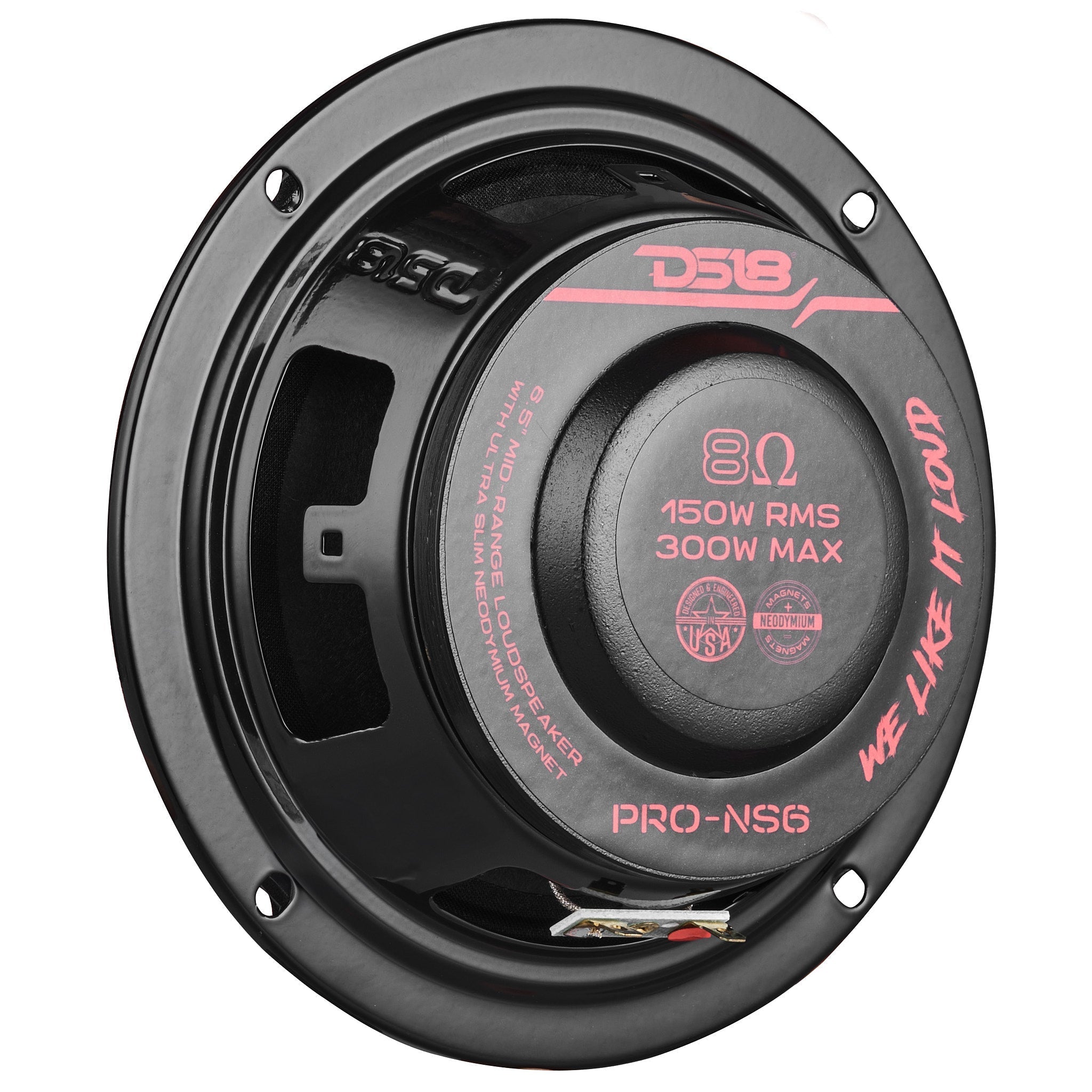 DS18 PRO 6.5
