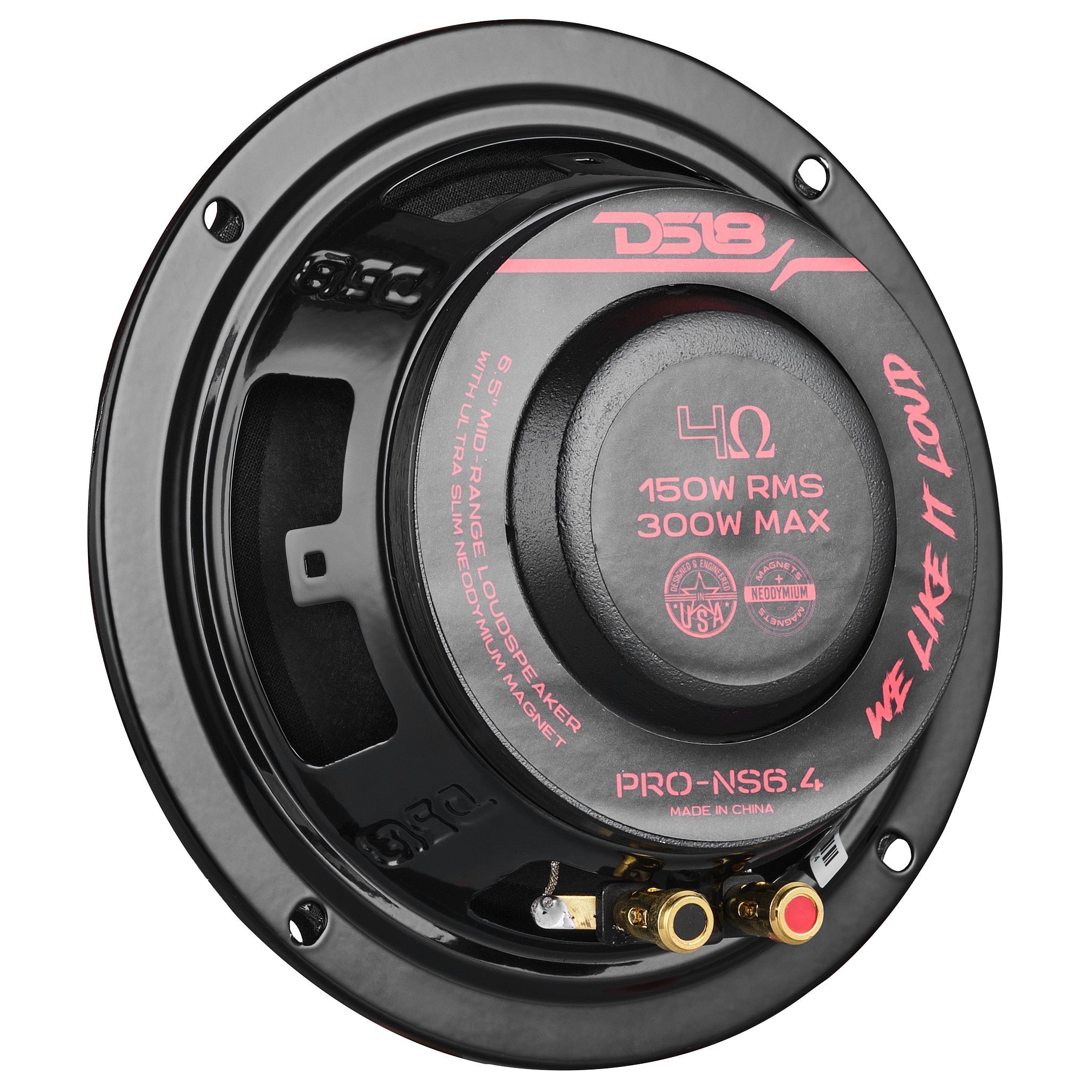 DS18 PRO 6.5