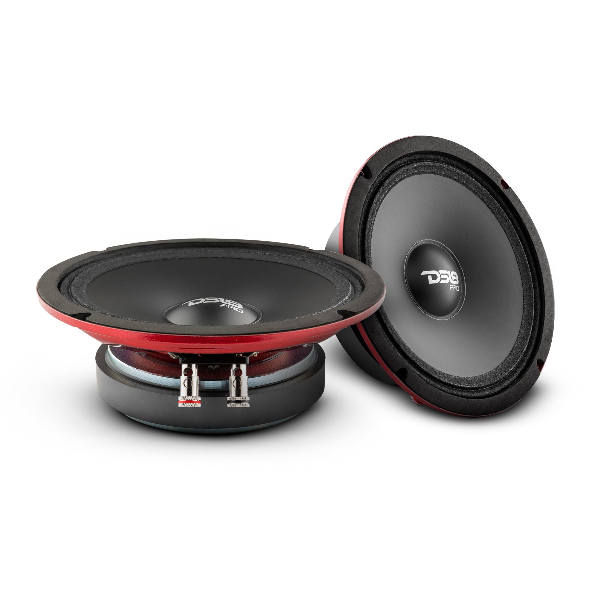 DS18 PRO 6.5