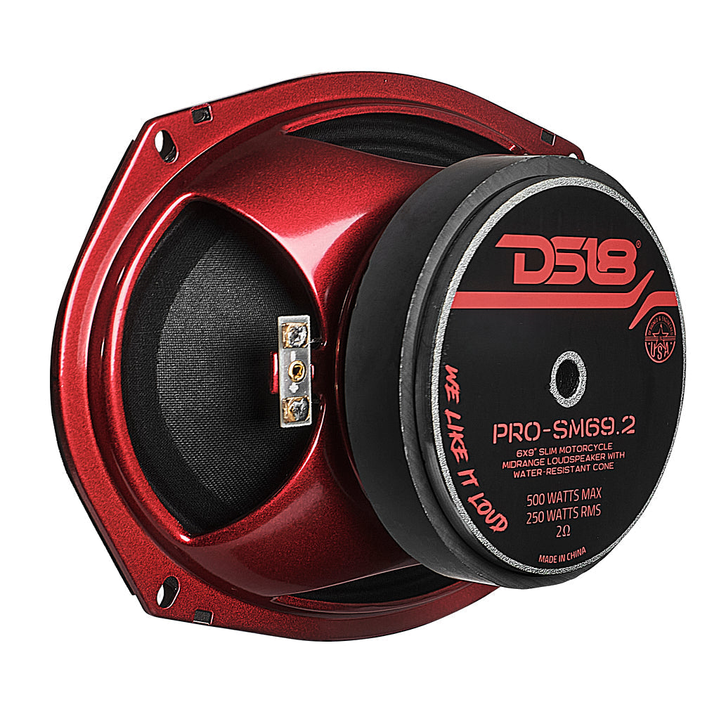 DS18 PRO 6x9