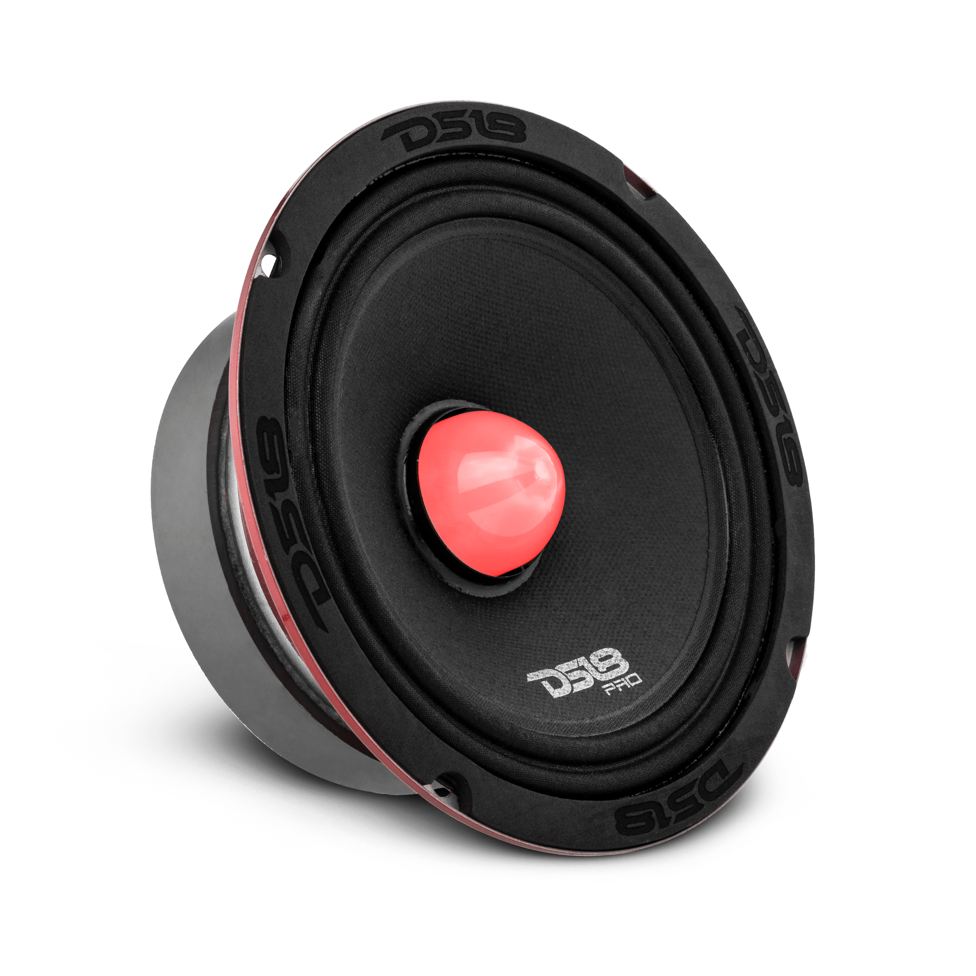 DS18 PRO-X 6.5