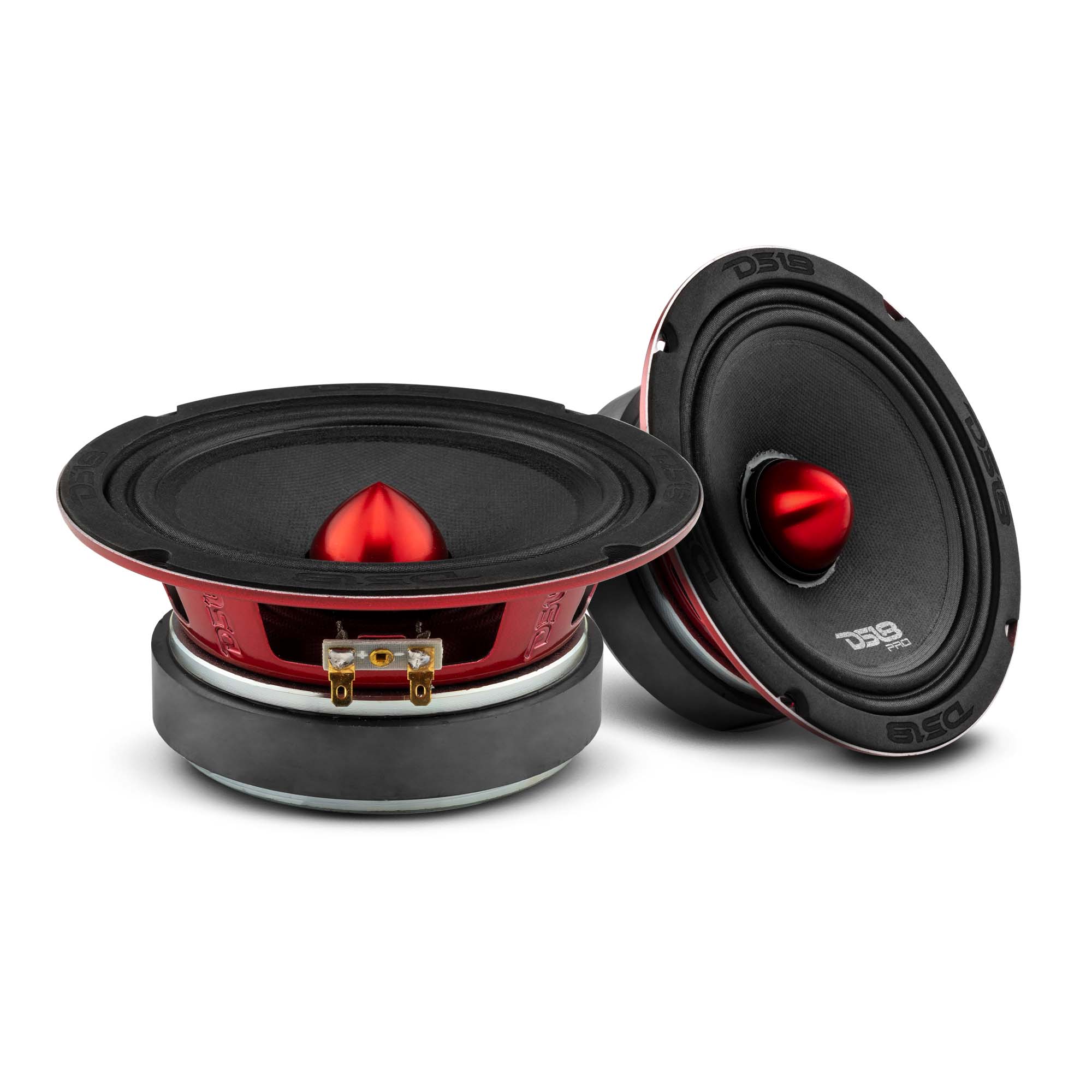 DS18 PRO-X 6.5
