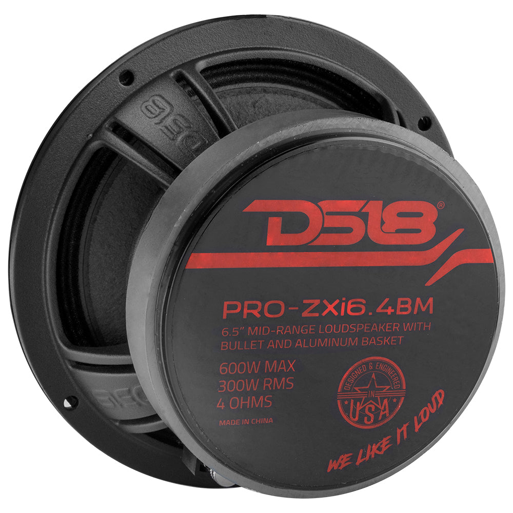 DS18 PRO-ZXI 6.5