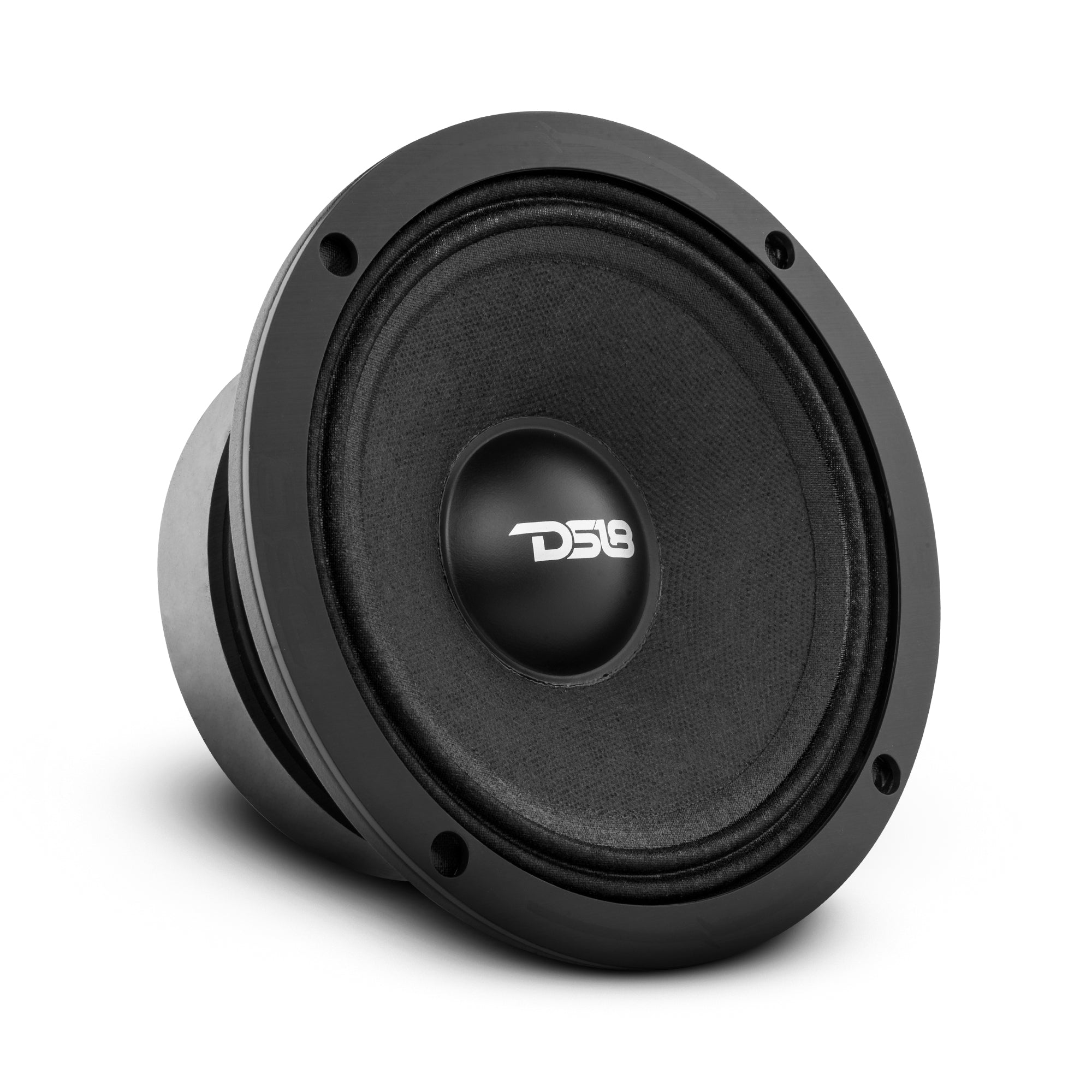 DS18 PRO-ZXI 6.5