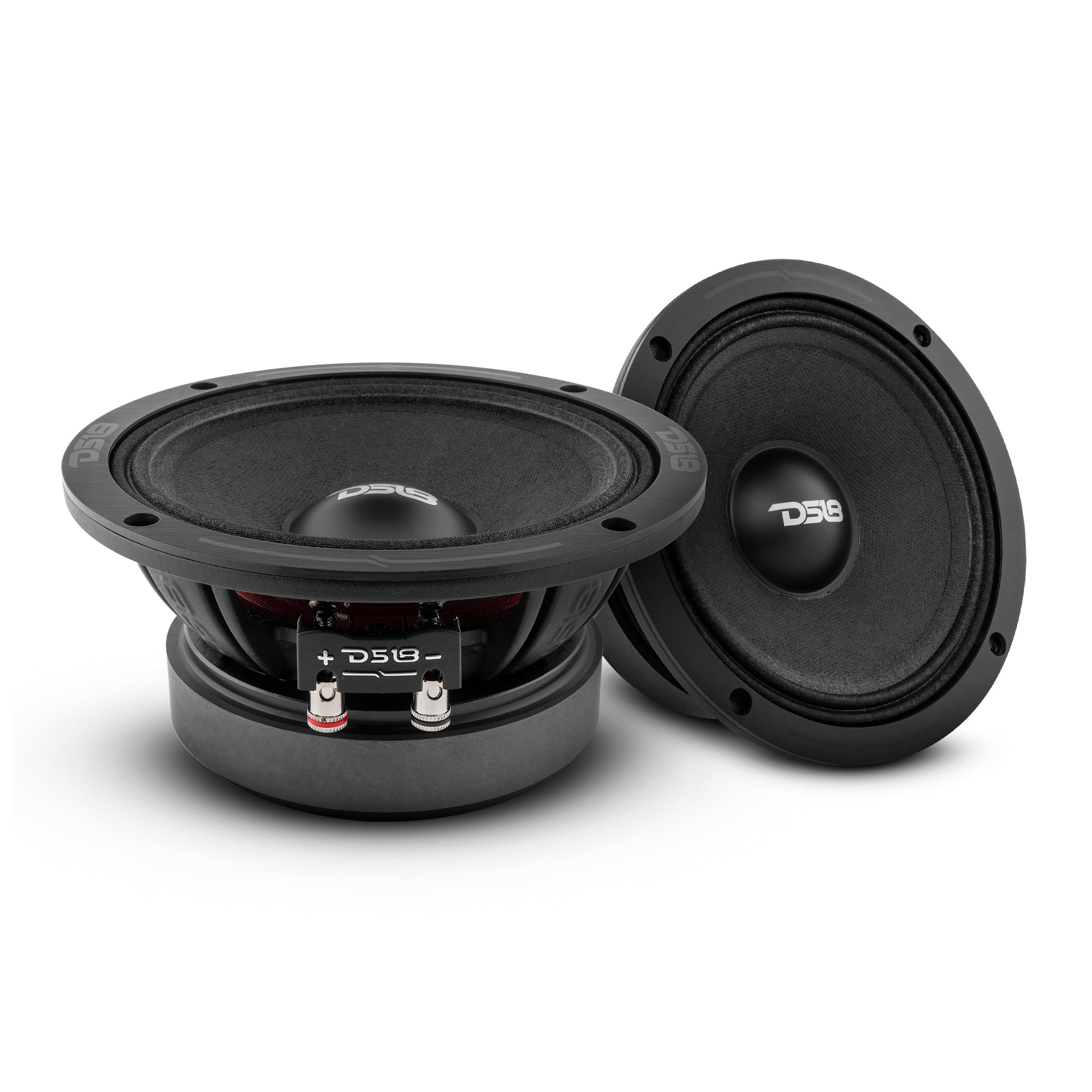 DS18 PRO-ZXI 6.5