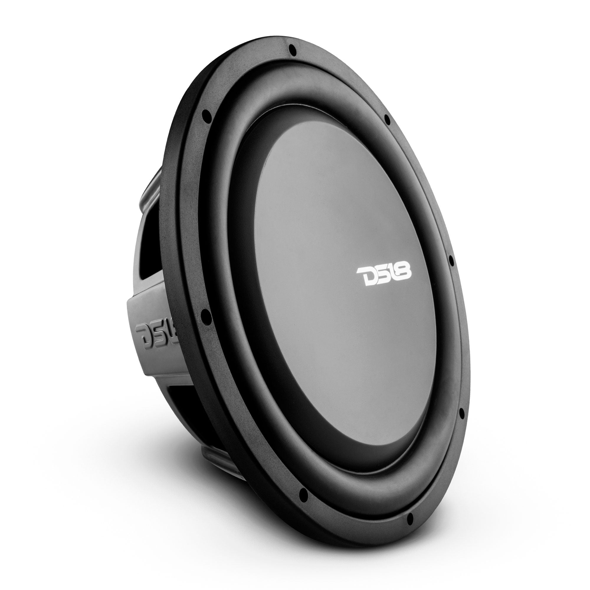DS18 PS Shallow-Mount Water Resistant 12