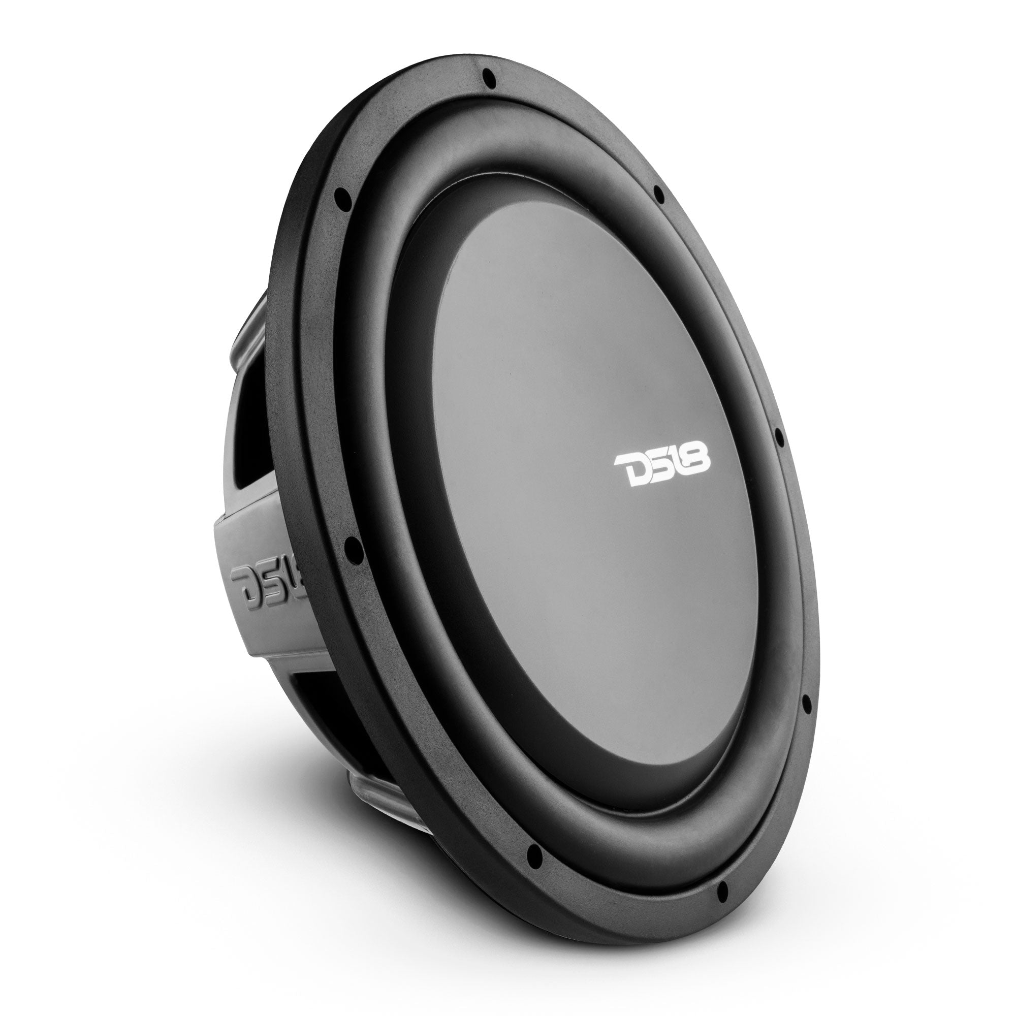 DS18 PS Shallow-Mount Water Resistant 12