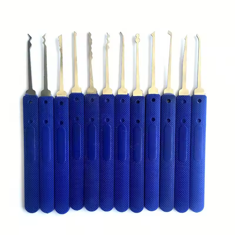 Stainless Steel Lock Pick Set (12 PCS)