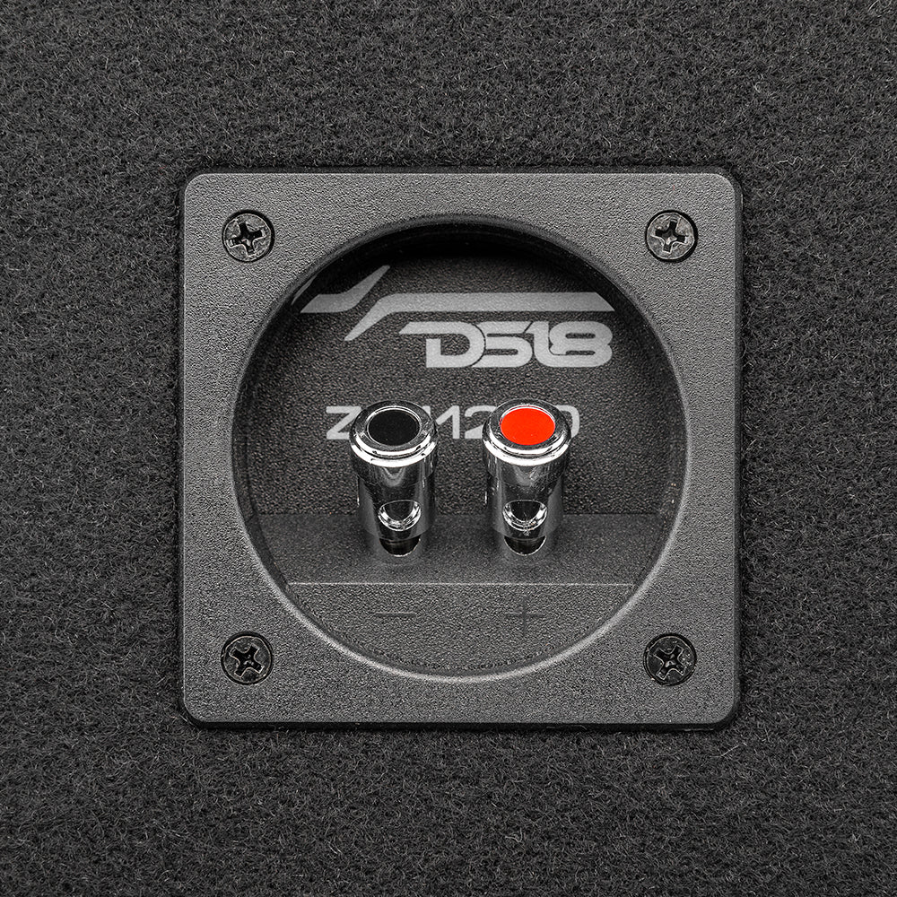 DS18 12