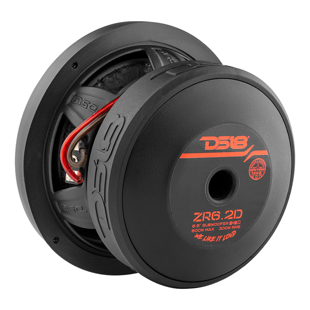 DS18 ZR 6.5