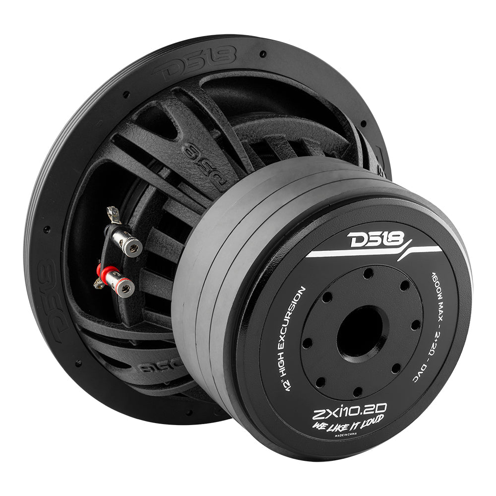 DS18 ZXI 10