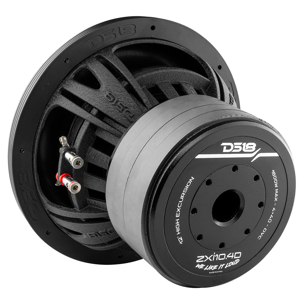 DS18 ZXI 10