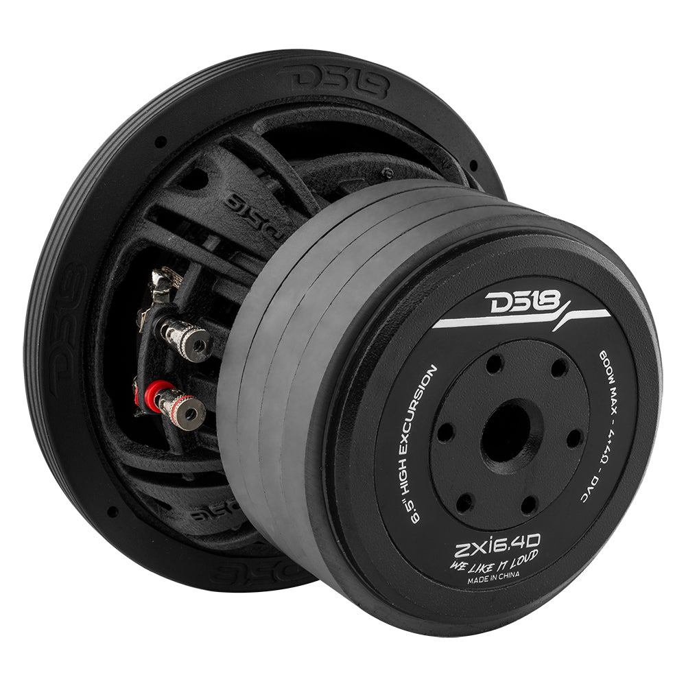 Ds18 ZXI 6.5