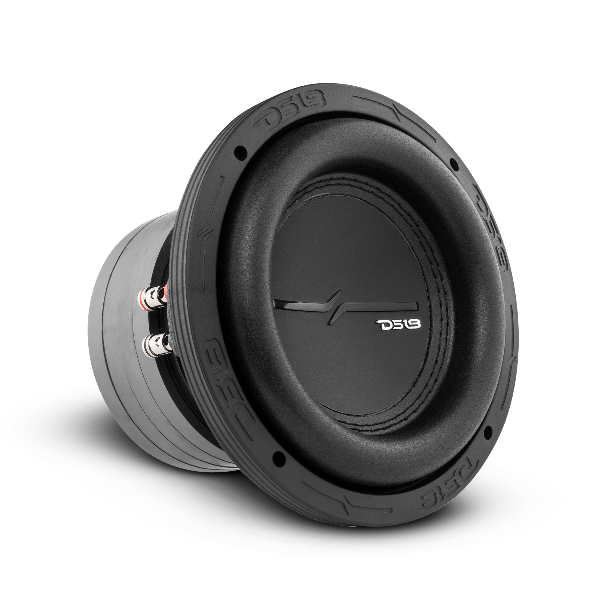 Ds18 ZXI 6.5