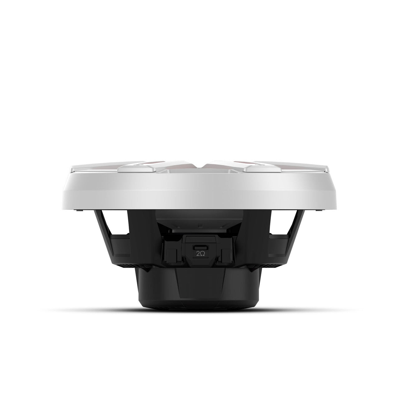 Rockford Fosgate M2D4-10S 10